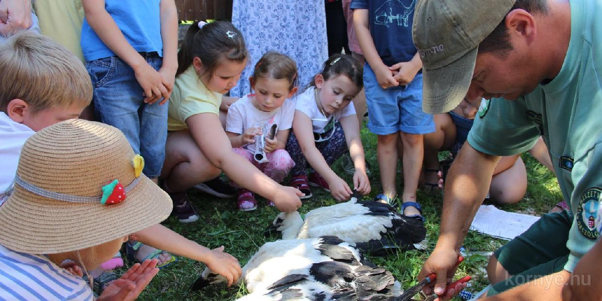 A tojót is elnevezték a gyerekek