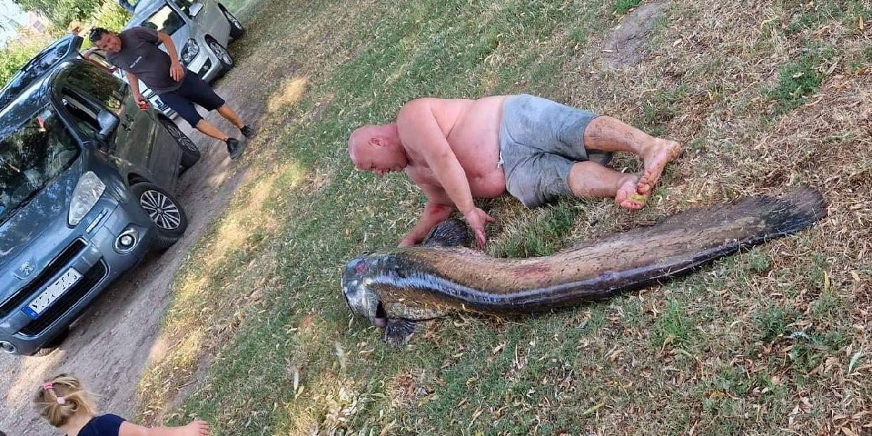 Kapitális születésnapi ajándék